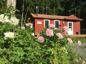 Trapper John's Cabin & Cottages